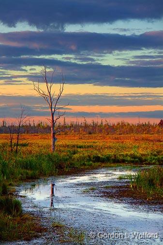 Jock River At Sunrise_08202.jpg - Photographed near Carleton Place, Ontario, Canada.